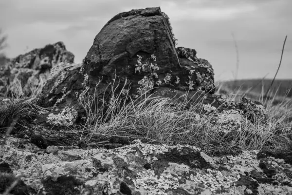 Sıradışı bir manzaranın siyah ve beyaz fotoğrafı. Bir dağın tepesinde taşlar ve çimenler.