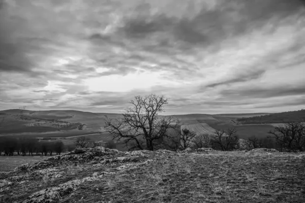 Kışın bir tepenin güzel gri tonlu görüntüsü.