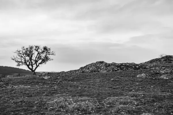 İspanya 'da eski bir taş duvarın dikey görüntüsü.