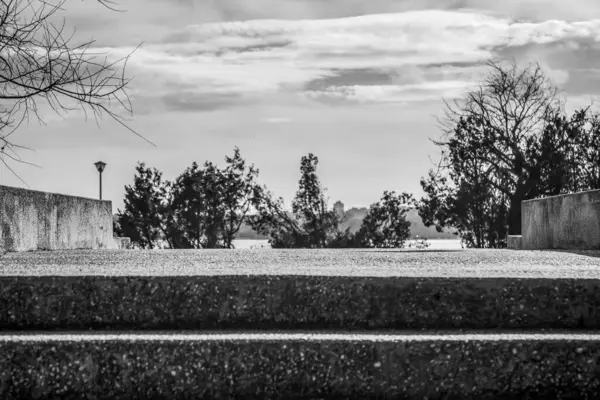 Modern bir binanın siyah beyaz fotoğrafı.