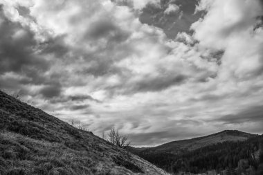 Ormanlı ve bulutlu güzel dağ manzarası