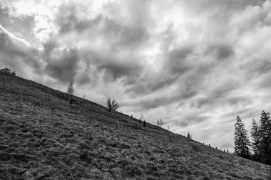 Dağlarda dağları olan güzel bir manzara.