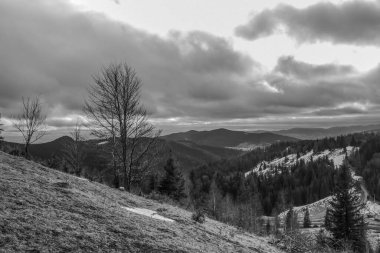 Karpatlar 'daki güzel kış dağ manzarası