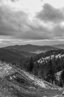 Dağların tepesinde bulutlu bir gökyüzü ve orman olan siyah beyaz bulutlar. Karpatlar, Ukrayna. seyahat arkaplanı.