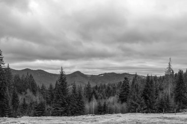 Karpat Dağları 'ndaki siyah ve beyaz manzara
