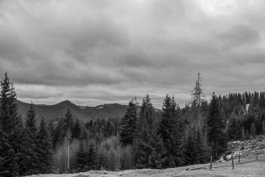 Dağ manzarasının siyah beyaz fotoğrafı