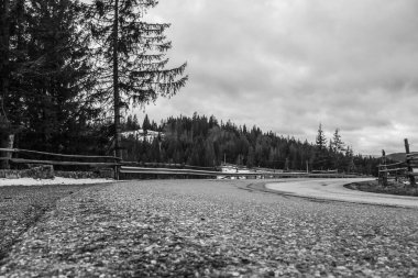 Ormanda boş ahşap masa