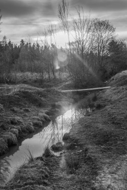 Ormanda nehri olan güzel bir manzara.