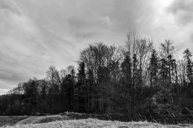 Karla kaplı ağaçlarla kaplı güzel kış manzarası