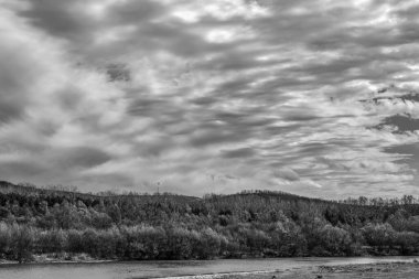 Ormanın güzel manzarası