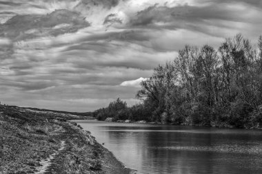Bulutlu gökyüzünün altındaki ağaçlarla çevrili küçük bir gölün dikey gri tonlu görüntüsü.