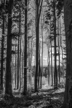 Dağların güzel manzarası