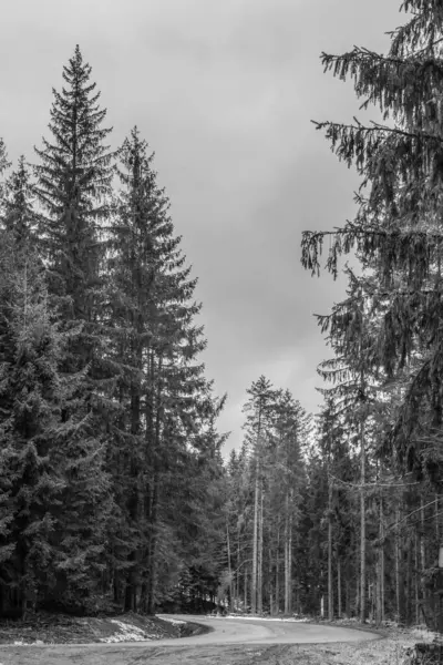 güzel kış manzara yolu ile