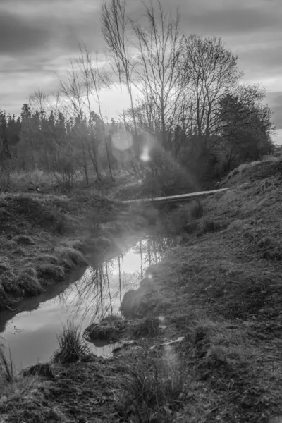 Kışın kırsalda bir gölde siyah beyaz bulutlar.