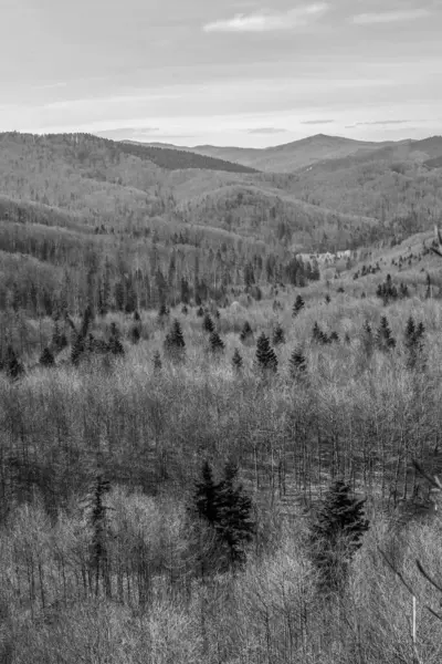 bir dağ manzarasının siyah ve beyaz görüntüsü