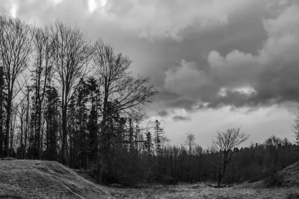 Ağaçlı ve bulutlu güzel sonbahar manzarası