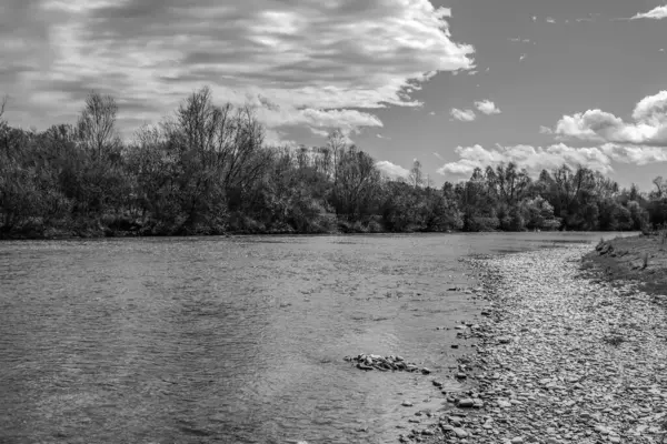 Nehir ve ağaçlar ormanda