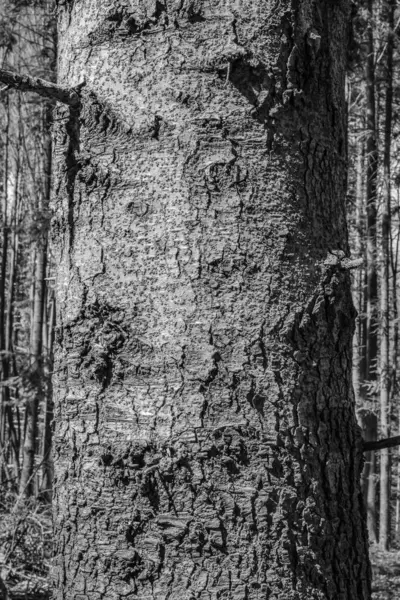 siyah ve beyaz arkaplan