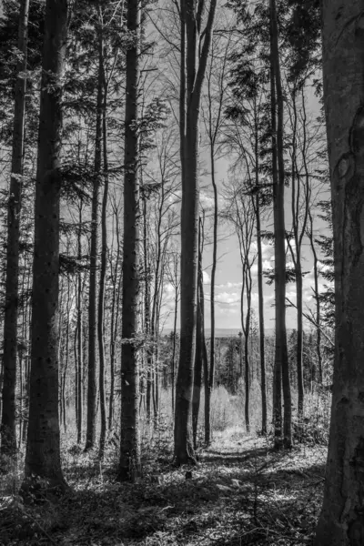 Dağların güzel manzarası