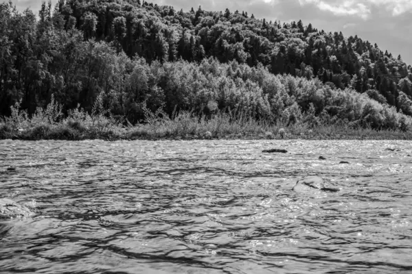 Ormandaki nehrin güzel manzarası