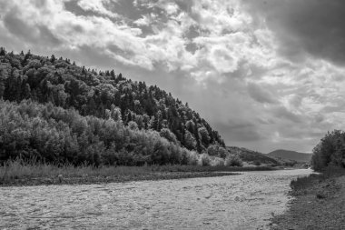 Ormandaki nehrin güzel manzarası