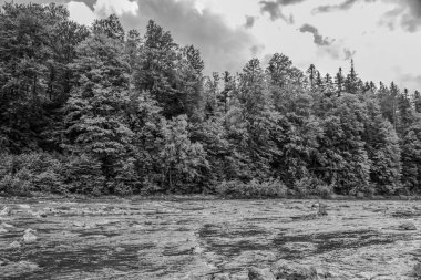 Kanada 'da bir dağ nehrinin siyah beyaz görüntüsü