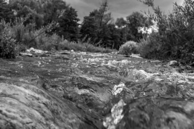 Ormandaki nehrin güzel bir görüntüsü