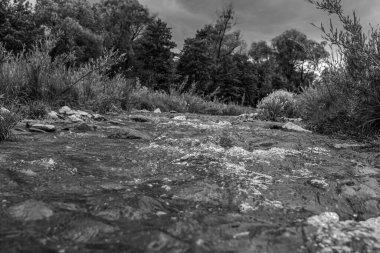 Kayalık sahilin güzel bir görüntüsü.