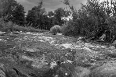 İtalya 'da nehrin ortasındaki ağaçlarla çevrili kayaların arasından akan bir nehrin gri tonlu görüntüsü.