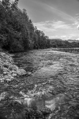 Ormandan akan nehrin güzel manzarası.