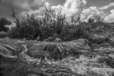 Dağ nehri ormanın taşlarının arasından akar..