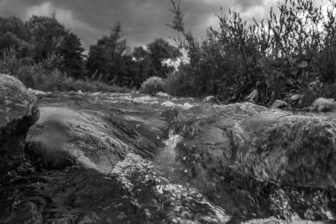 Ormandaki bir nehrin dikey görüntüsü