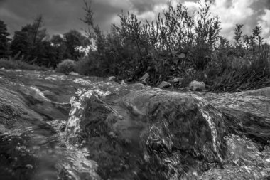 Ormanda güzel bir şelale