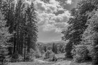 siyah ve beyaz manzara. Karpat Dağları. ukraine