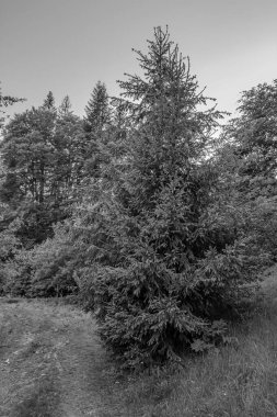 Dağ sırasının siyah beyaz manzarası