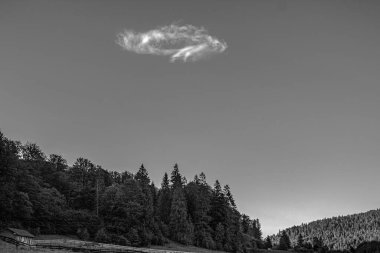 Ağacı ve gölü olan güzel bir manzara.