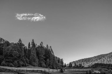 Ağaçlı ve bulutlu güzel dağ manzarası