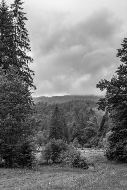 İskoçya 'nın dağlık arazisinin güzel manzarası siyah ve beyaz.