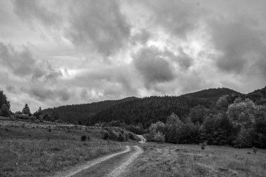 Dağlardaki yolun gri tonlu bir görüntüsü.
