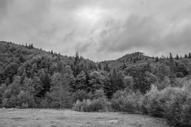 Dağların güzel manzarası