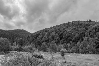 Dağ manzarasının siyah beyaz fotoğrafı.