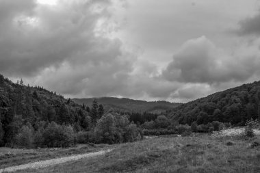 Kara Orman 'daki dağlara. Karpat Dağları