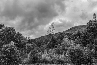 Dağların güzel manzarası