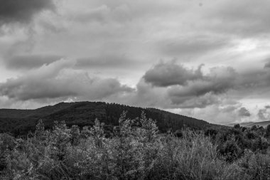 Dağlarda tepelerle çevrili bulutlu bir ormanın güzel bir görüntüsü.