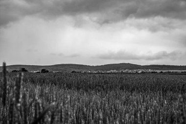 Alman kuzey denizindeki Juist Adası.