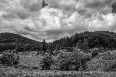 Nehir ve gölü olan güzel bir manzara.