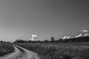 Yazın bir orman yolunda siyah beyaz bulutlar