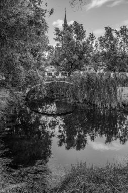 Hollanda 'daki Amsterdam şehri.