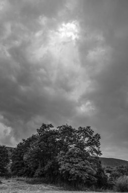 Bulutlu gökyüzünün gri tonlu görüntüsü