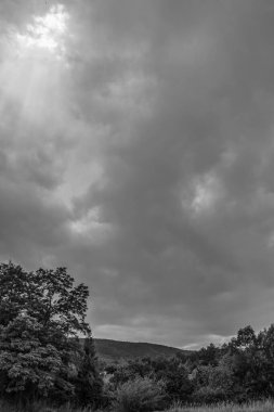 Dağlarda bir ağacı olan güzel bir manzara.